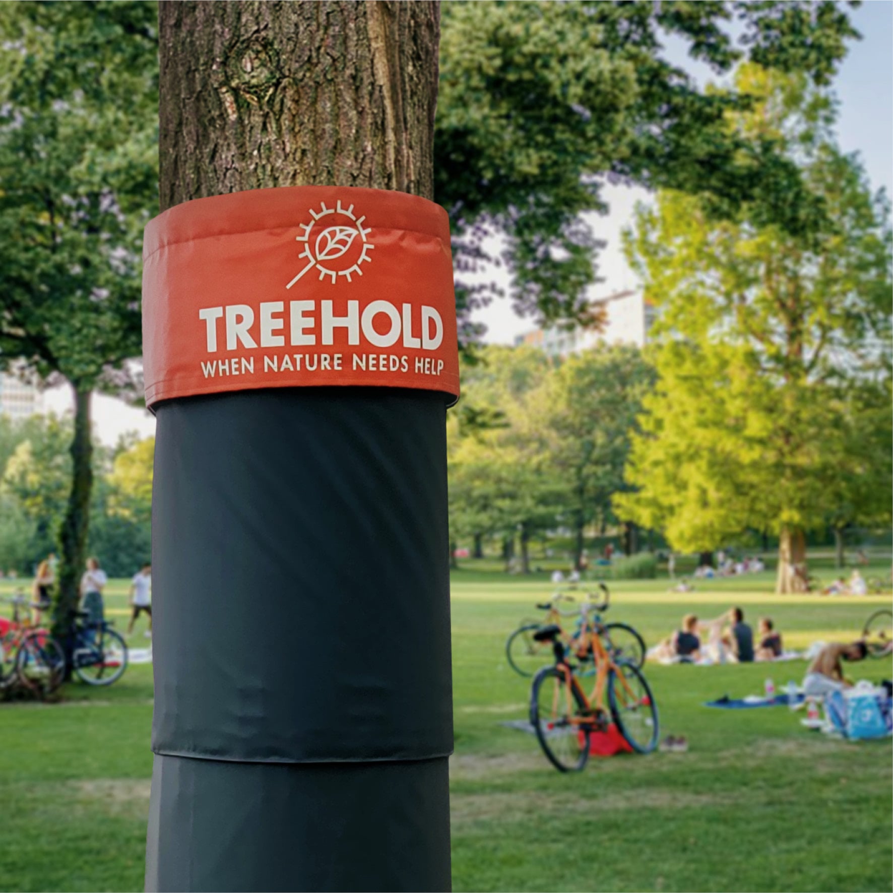 Treehold park